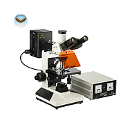 Kính hiển vi huỳnh quang phản xạ HINOTEK L2001A (4X-100X)